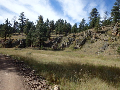 GDMBR: Cycling north on NF-28, La Jolla Canyon, Gila NF, NM.